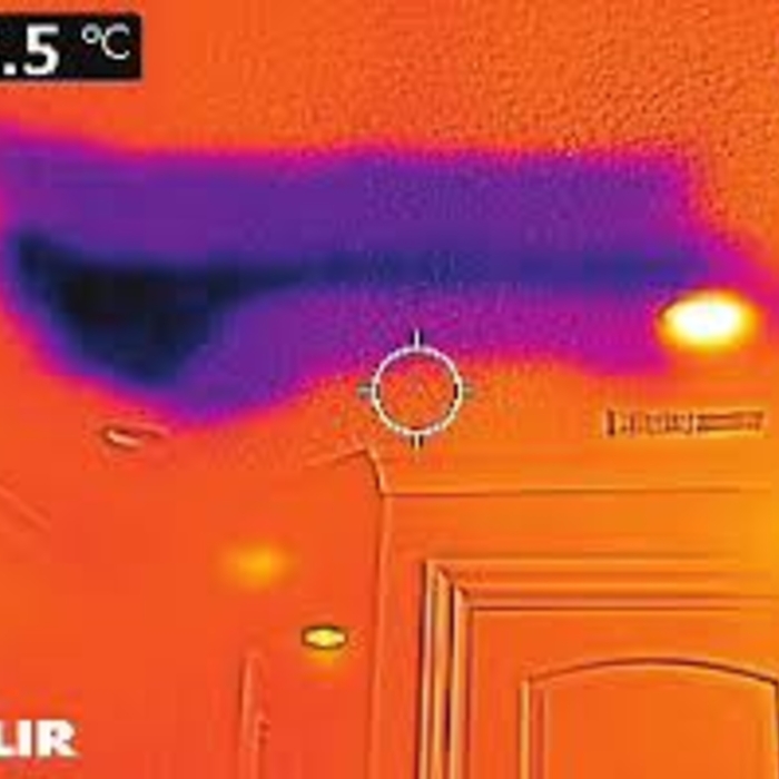FLIR Infrared