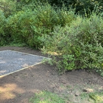 12x12 shed pad