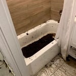Overflowed drains- hurricane related clean & d