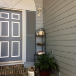 Custom Painted Door