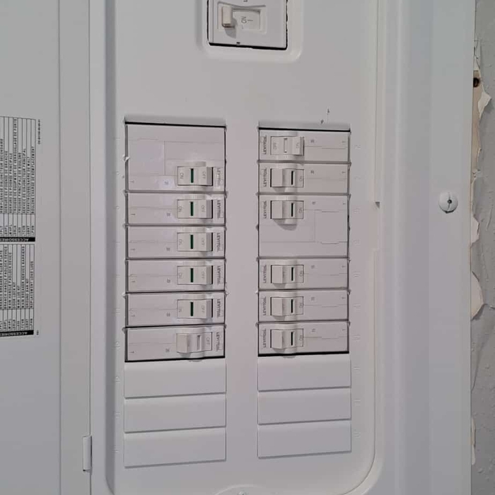 Panel