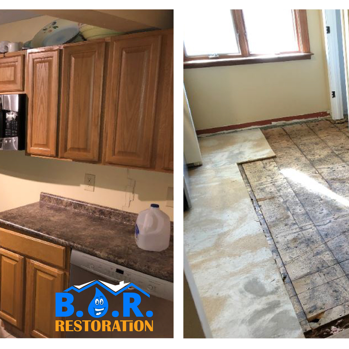 Water & Mold Remediation