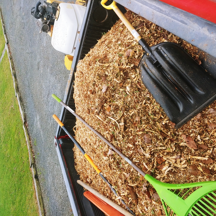 Clean up and disposal