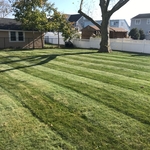 Lawn Cutting