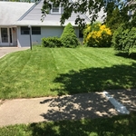 Lawn Cutting