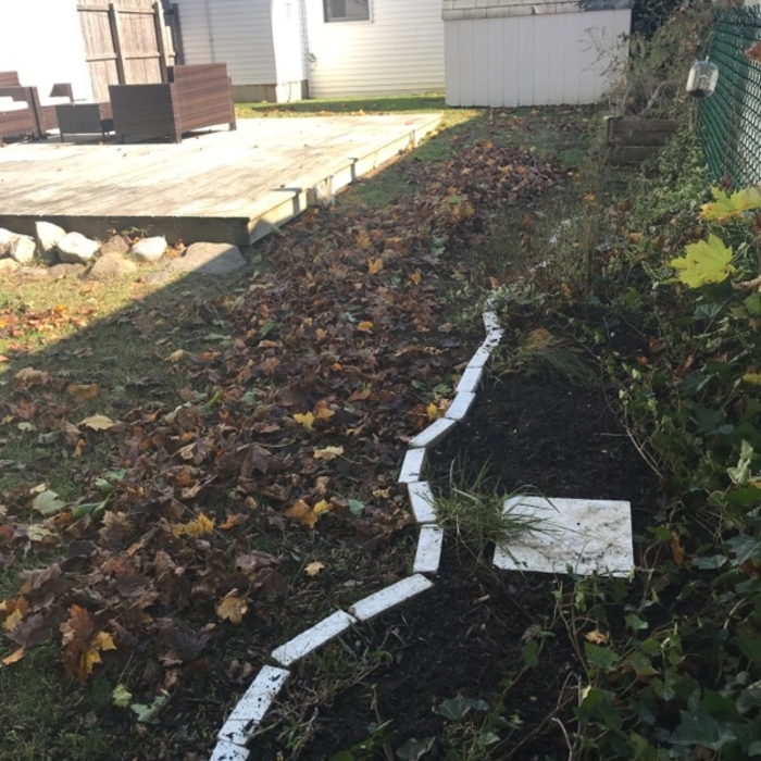 Fall Cleanup