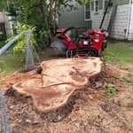 Monster stump