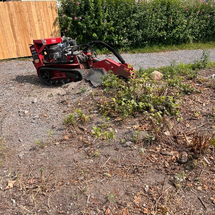 Multiple stumps