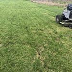 Long grass job