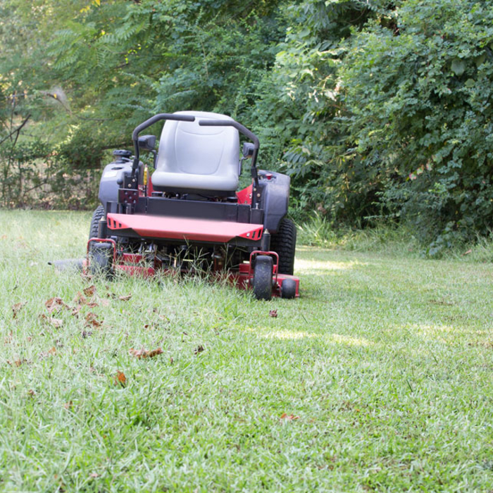 Long grass trimming