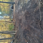 Widen the driveway
