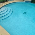 New finish with turtle mosaic