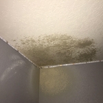 Drywall repair