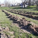 septic leach field