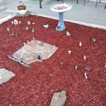 Another flower bed