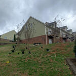 HOA Landscaping