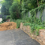 Landscape Rehab