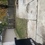 Fall cleanup