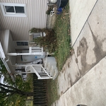 Fall cleanup