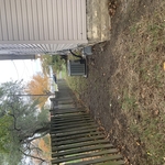 Fall cleanup