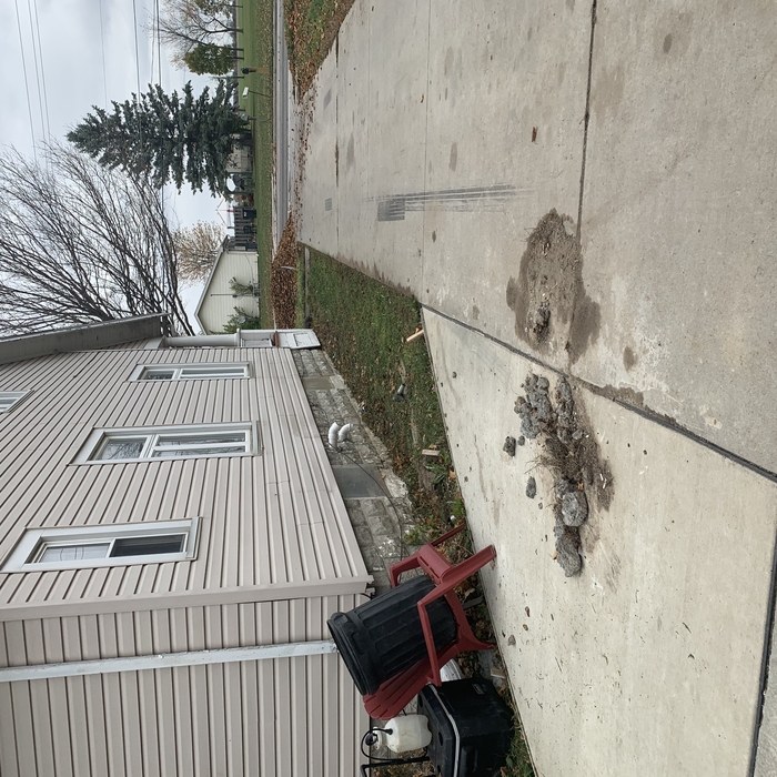 Fall cleanup