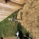 Pool 120 vac receptacle