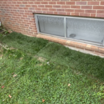 New sod after foundation work