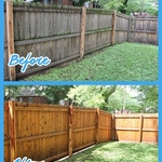 Fence Restored