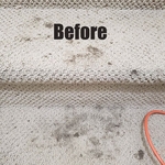 Carpet Cleaning