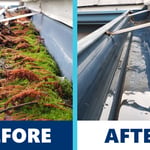 Gutter filled with moss