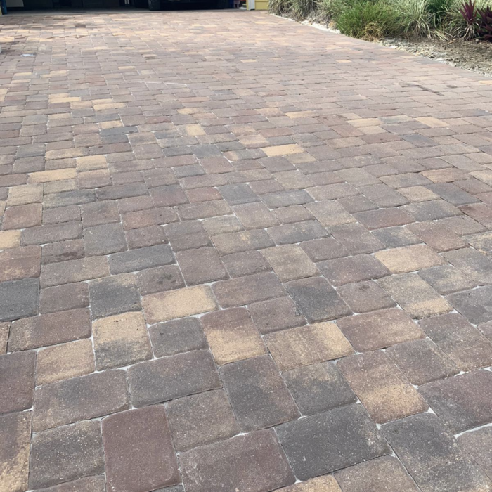 pressure wash and sealer