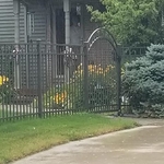 Aluminum arched gate