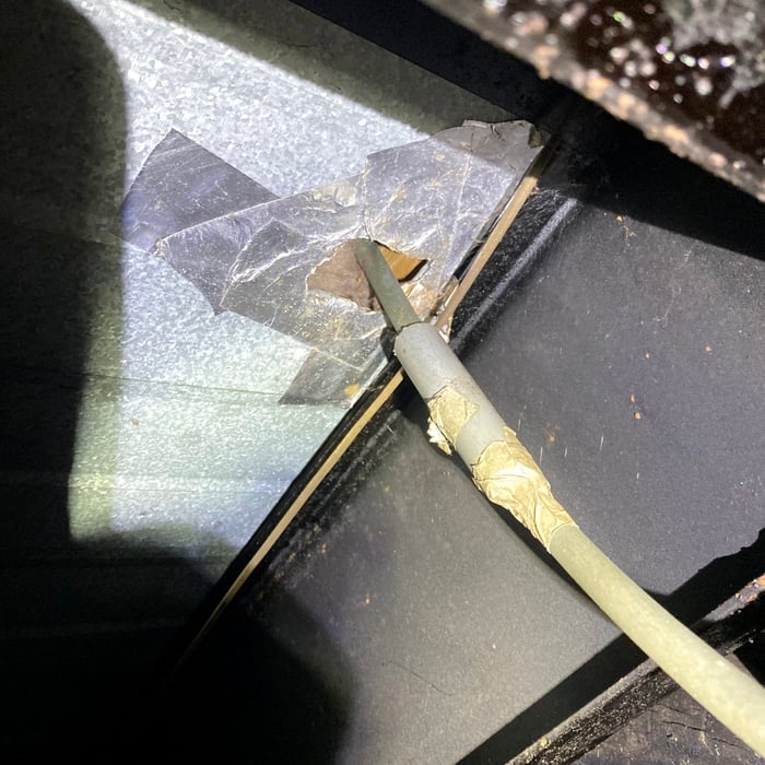 Water supply line with opening for Rats.