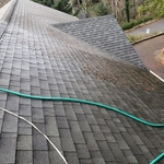 Cleaning roof house# 1