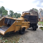tree cutting