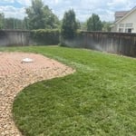 Sod and Sprinkler System