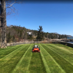 lawn maintenance