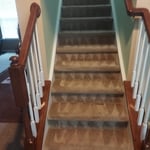 Basic Carpet Clean