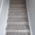 Carpet Clean