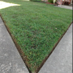Home Improvement Project
