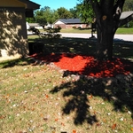 Rock border with Mulch bed & Sod
