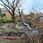 Front yard when first arrived