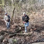 Tree Cutting Services