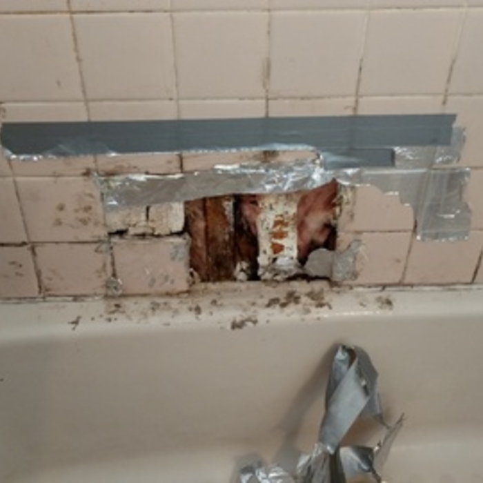 Bath - tile damage repair