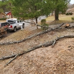 Tree Removal