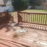 cracked boards