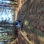 Large scale property cleaning