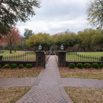 One of Palmettos favorite projects