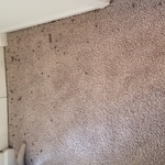 hhhhh