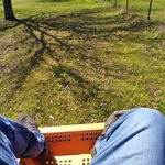 Orchard